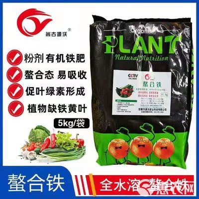 螯合鐵與復合微生物肥料 黃葉現象的綠色解決方案