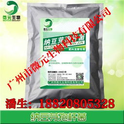 納豆芽孢桿菌在微生物飼料與肥料添加劑中的研發(fā)與應用